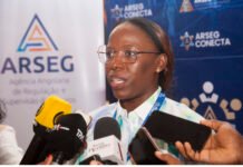 Governo angolano prevê alcançe da taxa média do sector dos seguros da SADC até 2029