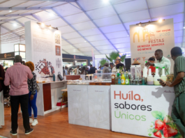 Huíla é a mascote da Feira Internacional de Angola — FILDA 2026