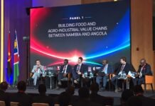 AGROINDÚSTRIA | COOPERAÇÃO ANGOLA–NAMÍBIA